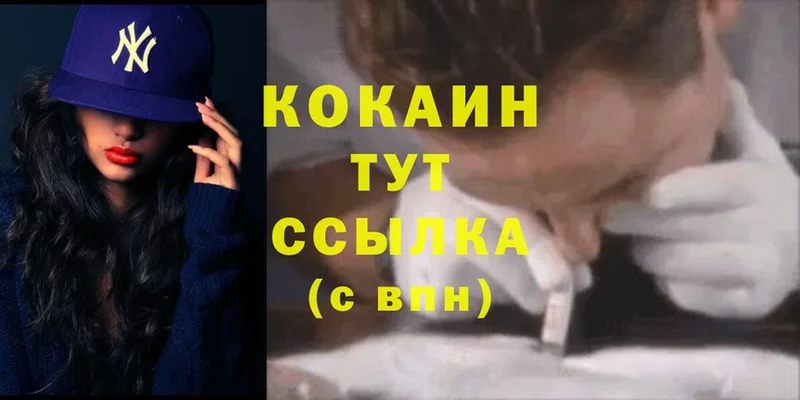 MEGA ссылка  Нижняя Тура  Cocaine Fish Scale  сколько стоит 